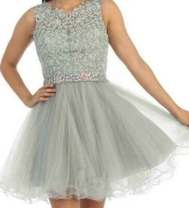 DANCING QUEEN 9159 FANCY PARTY PROM FORMAL HOLIDAY DRESS OUTFIT S SMALL SILVER - Picture 1 of 11