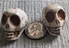 Pair Of Large Natural Stone  Realistic Appearance Skull Beads