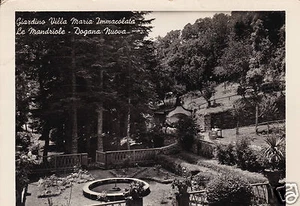 Dogana Nuova-Giardino Villa Maria Immacolata-Le Mandriole-f.g. - Foto 1 di 1