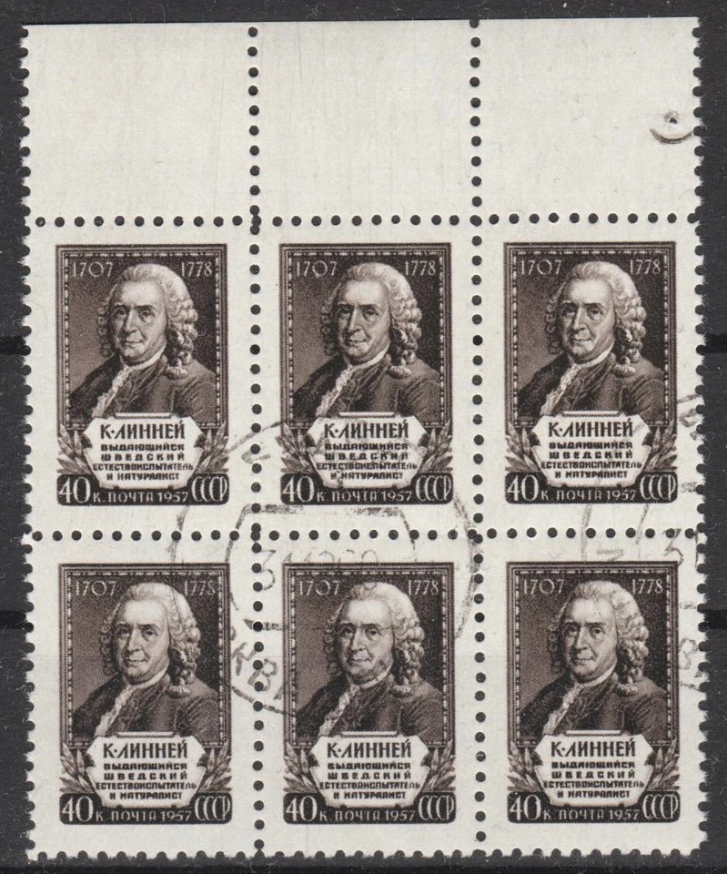 Rusia URSS 1957 Linney naturalista-científico sueco - Bloque de 6 Foto 1 de 1