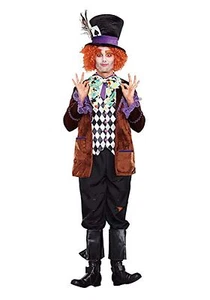Hatter Madness Men's Costume - Picture 1 of 1