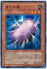 DL2-100 - Yugioh - Japanese - Cocoon of Evolution - Normal Rare