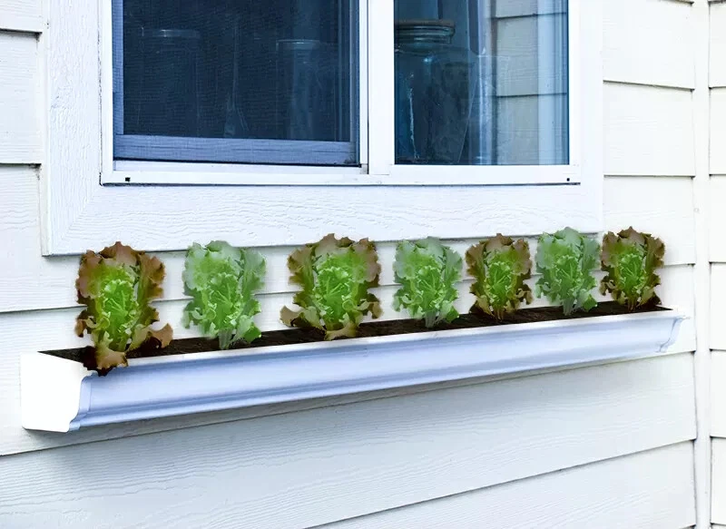 Льняная (не совсем белая) 6-дюймовая широкая оконная цветочная коробка для рассады длиной 3 фута - Изображение 1 из 4