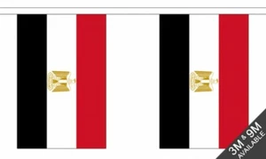 EGYPT 9 METRE BUNTING 30 FLAGS flag EGYPTIAN - Picture 1 of 1