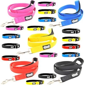 LIFETIME GUARANTEE Dexil Elite Range Neoprene Padded 4 6 Foot Dog Lead or Collar - Picture 1 of 17