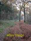 Photo 6x4 Botley Woods Lee Ground Pathway between Flagpond and Stonyfield c2005