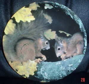SHARING THE TREASURE Royal Doulton Squirrel Collectors Plate