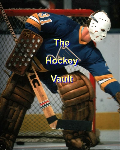 St. Louis BLUES Ed STANIOWSKI #31 GLOVES The PUCK 8X10 SOLID White Mask COOL!!! Cover