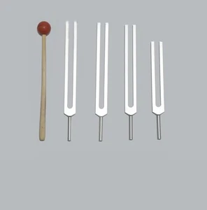 Juego de diapasón para practicante de energía de 4 piezas + mazo + terapia de curación de envío rápido - Imagen 1 de 1