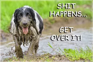 Sprocker Springer Spaniel Dog Funny Fridge Magnet Christmas Birthday Gift New - Picture 1 of 1