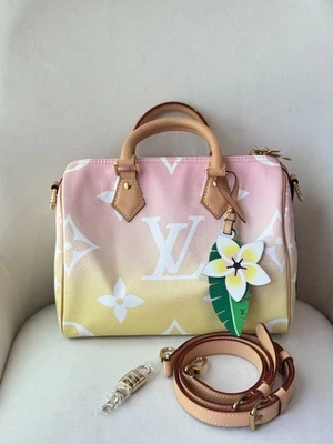 LOUIS VUITTON SPEEDY 25 Summer By The Beach 2021 Capsule Rose - Image 1 of 4