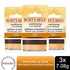 Burt's Bees Lip Scrub 100% Natural Conditioning & Exfoliation, 7.08g, 3 Pack