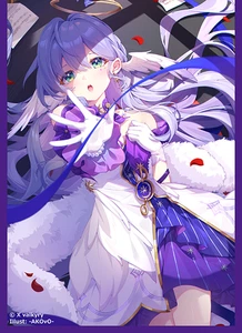Honkai Star Rail Robin Doujin Card Sleeve Protector - Picture 1 of 1