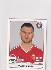Panini Fifa Em Adesivo No. 667 Tamas Kadar