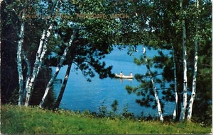 Postal Lake Fremont Michigan Cromo #D9 - Imagen 1 de 2