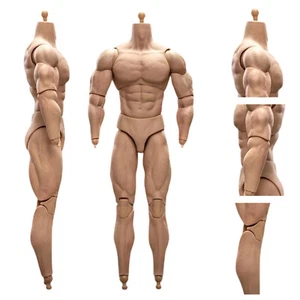 Figura de acción masculina muscular escala 1/6 BD003 cuerpo para cabeza de soldado de juguete caliente de 12" fg - Imagen 1 de 12