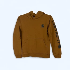 Carhartt Hoodie Boys L (14-16) Brown Long Sleeve Graphic Sweatshirt TS6272-B - Picture 1 of 6