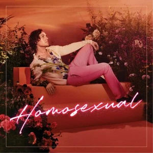 Darren Hayes Homosexual (CD) Album - Picture 1 of 1