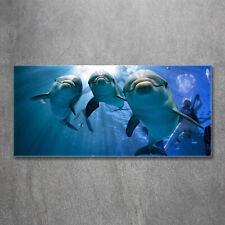 Acrylglas-Bild Wandbilder Druck 120x60 Deko Tiere Drei Delphine