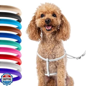 CollarDirect Rollleder Hundegeschirr kleine Welpen Step-In Leine Set für Wal - Bild 1 von 5