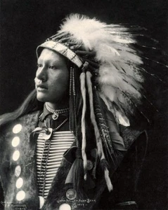 John Hollow Horn Bear Sioux Native American Indian, Old West 8x10 Photo 46 - Bild 1 von 2