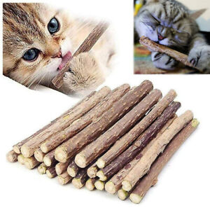 10-50PC Catnip cat Sticks Natural Matatabi Silvervine Chew Toy Teeth Cleaning