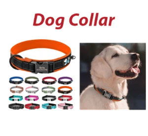 Collar de perro acolchado de nailon reflectante y etiqueta de pata redonda brillante grabada personalizada - Imagen 1 de 35