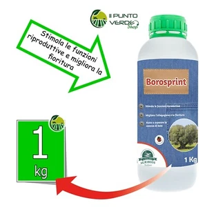Concime Allegagione BORO 11 % ETANOLAMMINA specifico OLIVO orto KG 1 BIOLOGICO - Foto 1 di 2