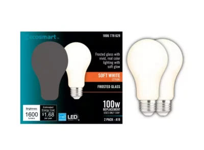 EcoSmart LED Bulb Soft White Frosted Filament Glass Dimmable 100-Watt Equ 2 Pack - Image 1 of 4