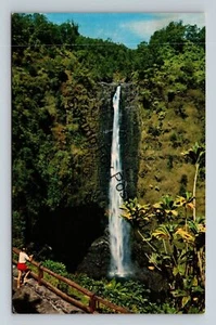 Postcard Akaka Water Falls Near Hilo City Orchid Isle Hawaii - Picture 1 of 2