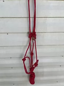 Cuerda de entrenamiento natural hecha a mano 4 nudos y 8' 5/8" caballo de plomo talla AHE 400 ROJO - Imagen 1 de 3