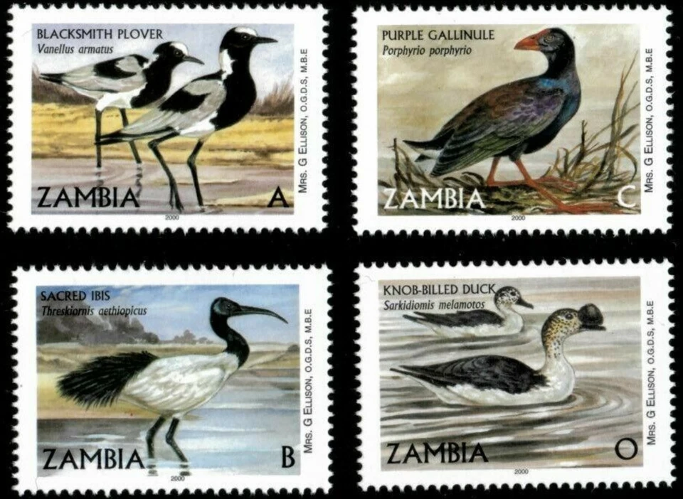 Zambia #Mi1068II/#Mi1257-Mi1259 MNH 2001 Plover Duck Ibis Gallinule [927-930] - Image 1 of 1