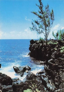 LA REUNION SAINT DENIS COTE SAUVAGE DANS L EST DE L ILE - Foto 1 di 2