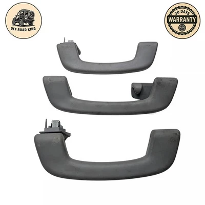 BMW 528i 2014-2016 OEM barra de agarre interior manija techo superior delantero y trasero gris Foto 1 de 4