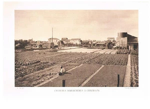 CULTURE MARAICHERES A CHATILLON photo 1934 - Picture 1 of 1