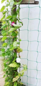 Trellis Netting Mesh Garden Plant Climbing Net Support Fruits Vines Vegetables - Picture 1 of 12