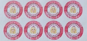 24x Personalised Pink Barbie Doll Tiara Star Birthday Party Lolly Bag Stickers - Picture 1 of 2