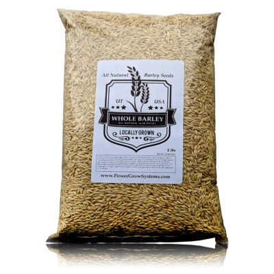 Barley Seeds 🔥 Bulk 5-10 # Sprouting-Juicing-Malt-Brewing-Beer Making NONGMO - Image 1 of 2