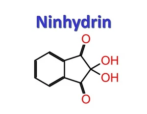 Ninhydrin, CAS 485-47-2 - Bild 1 von 1