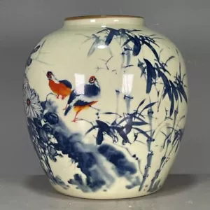 China Porcelain Qing Dynasty Guangxu Blue and White Flowers and Birds Vase 6.18" - Picture 1 of 10