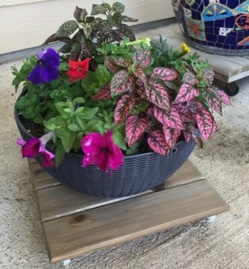 LIGHT-MEDIUM DUTY 14 Inch Plant Dolly Stand Rolling Plant Caddy BUILT TO ORDER! - Picture 1 of 6