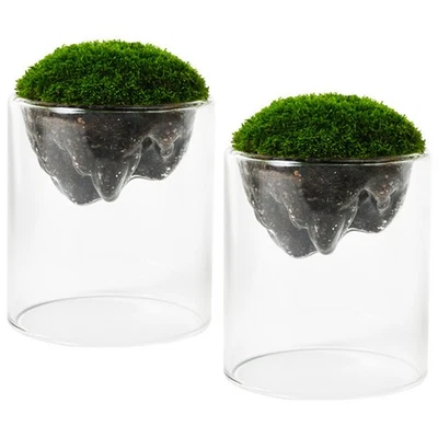  2 Pcs Dekoflaschen Mini Fläschchen Miniaturglasflaschen Winziges Glasgefäß - Bild 1 von 4