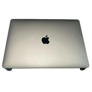 Apple MacBook Pro A1989 A2159 A2251 A2289 Display Silver 661-15733 GRADE B - Picture 1 of 4