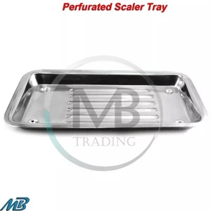 Dental Scaler Tray Dentistry Medical Autoclavable Lab Surgical Instruments New - Picture 1 of 5