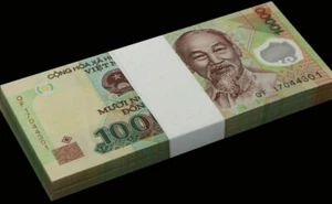 Vietnamese Dong 10000 UNC Polymer Vietnam Bank Note Fast Free Ship with Tracking - Picture 1 of 1