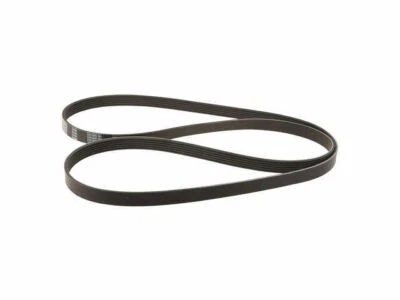 For 2011-2014, 2016-2019 Ford E350 Super Duty Multi Rib Belt 53369XM 2012 2013 - Image 1 of 2