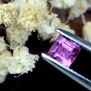 Certified 0.74ct Natural Unheated Pink Sapphire 4.68x4.50mm Madagascar Princess - Picture 1 of 2