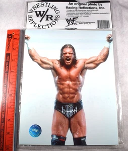 Triple H Wrestler WWE Wrestling Reflections 8X10 Photo #2 - Picture 1 of 1