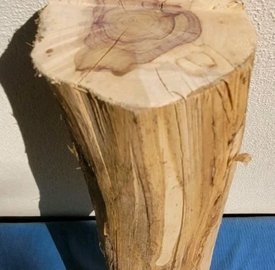 Deko Baumstamm rotes Holz Flieder 50cm Basteln BIO unbehandelt geschält - Bild 1 von 4