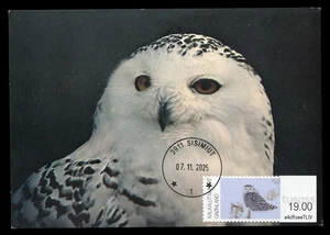 GREENLAND 2025 Maximum Card ATM - Snowy polar owl Harfang Búho Bubo scandiacus - Picture 1 of 1